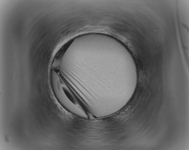 X0000097771520200804041141