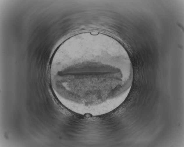 X0000097771522200804041141