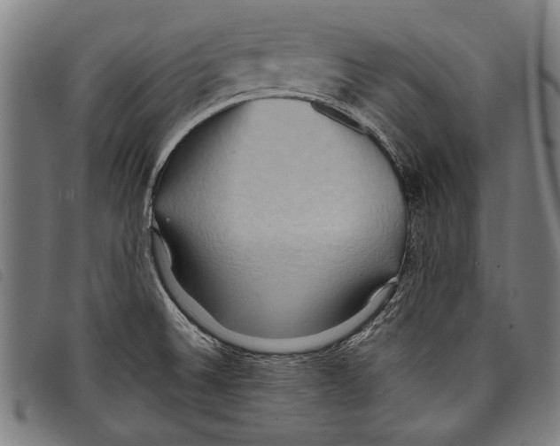 X0000097771524200804041141