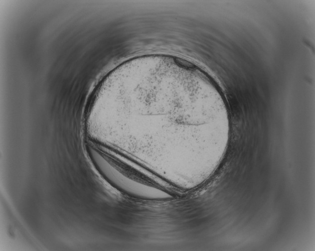 X0000097771525200804041141