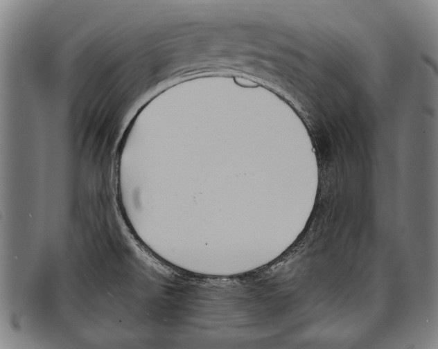 X0000097771526200804041141