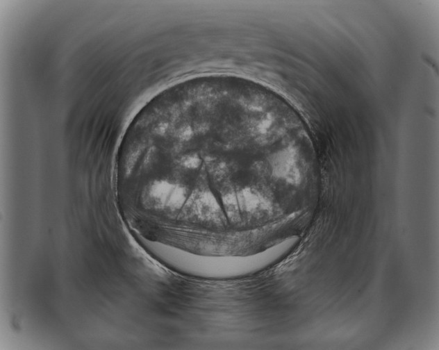 X0000097771527200804041141