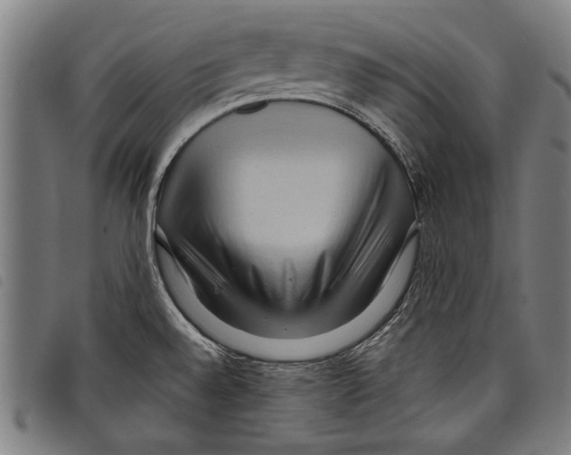 X0000097771528200804041141