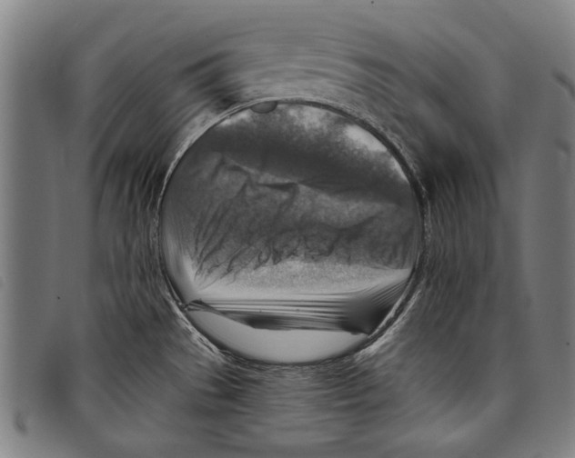 X0000097771529200804041141