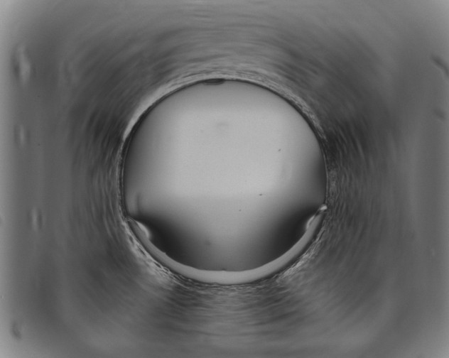 X0000097771530200804041141