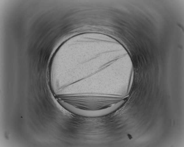 X0000097771531200804041141