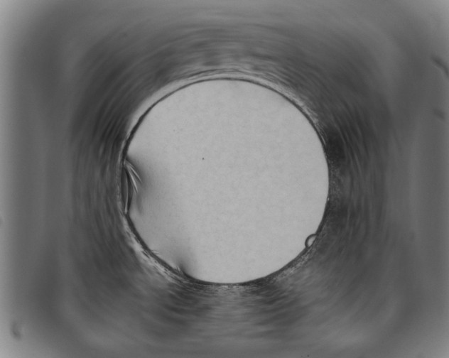 X0000097771534200804041141