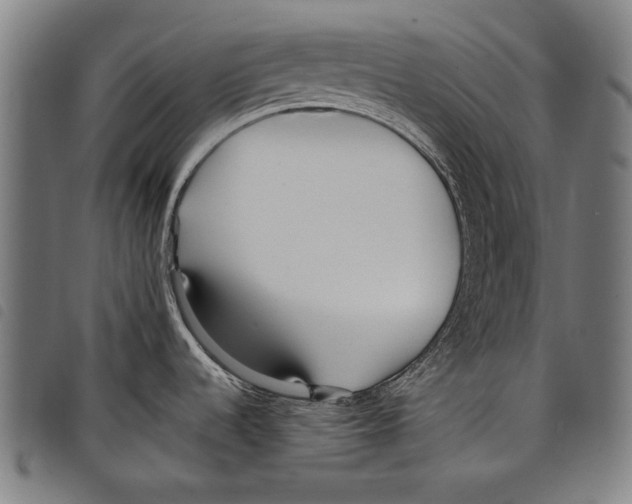 X0000097771536200804041141