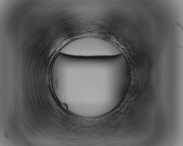 X0000097780002200803070923