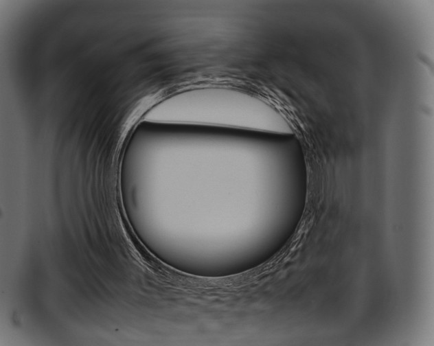 X0000097780003200803070923
