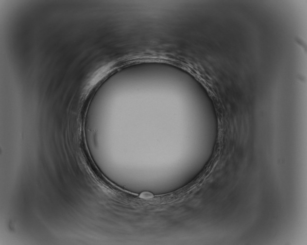 X0000097780005200803070923