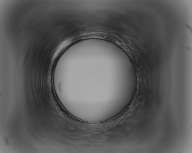 X0000097780006200803070923