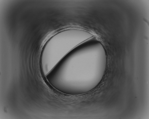 X0000097780007200803070923