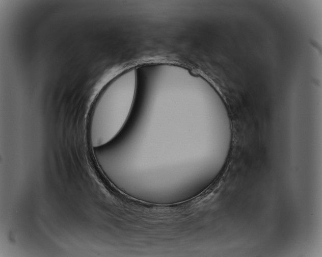 X0000097780008200803070923