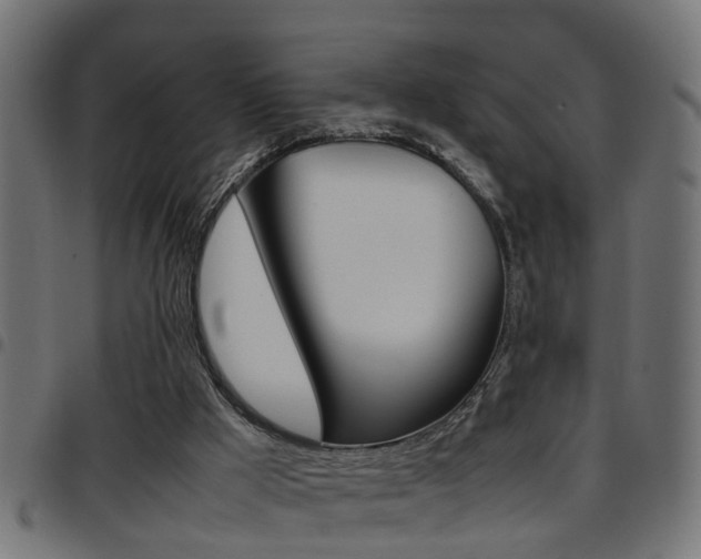 X0000097780009200803070923