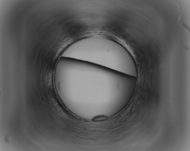 X0000097780010200803070923