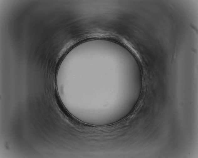 X0000097780011200803070923