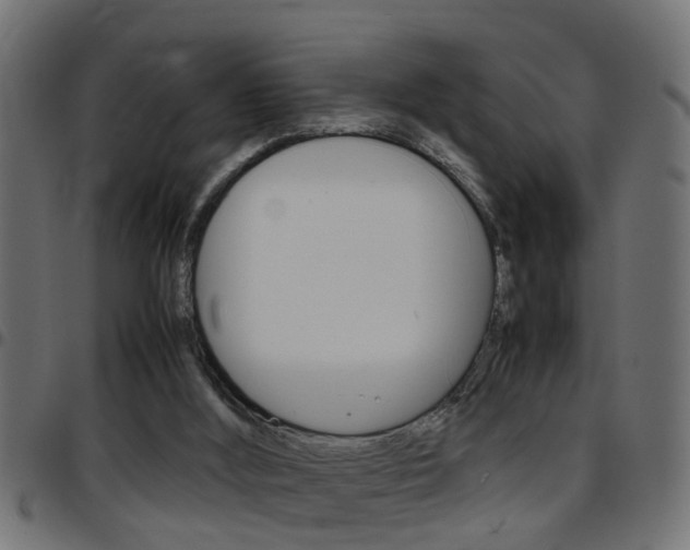 X0000097780012200803070923