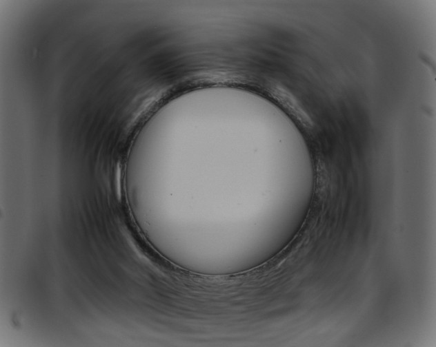 X0000097780014200803070923