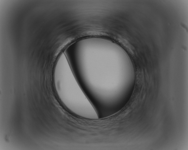 X0000097780015200803070923