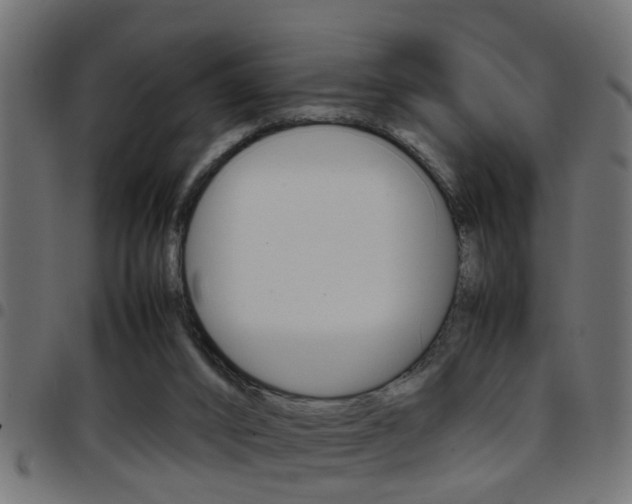 X0000097780016200803070923