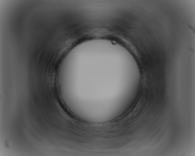 X0000097780018200803070923