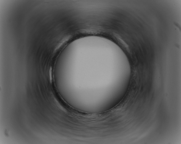 X0000097780020200803070923