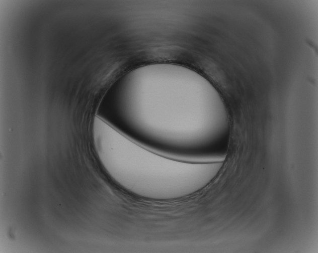 X0000097780021200803070923