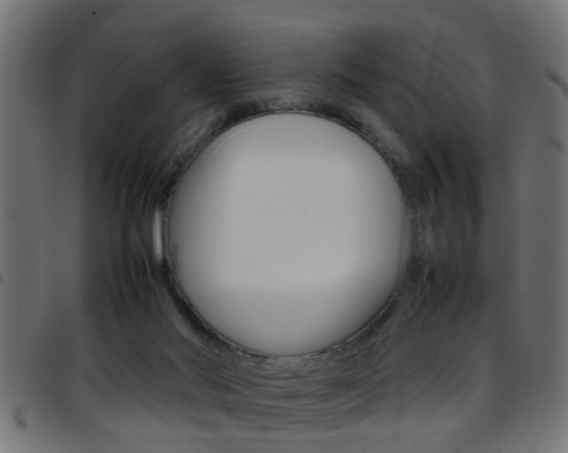 X0000097780022200803070923