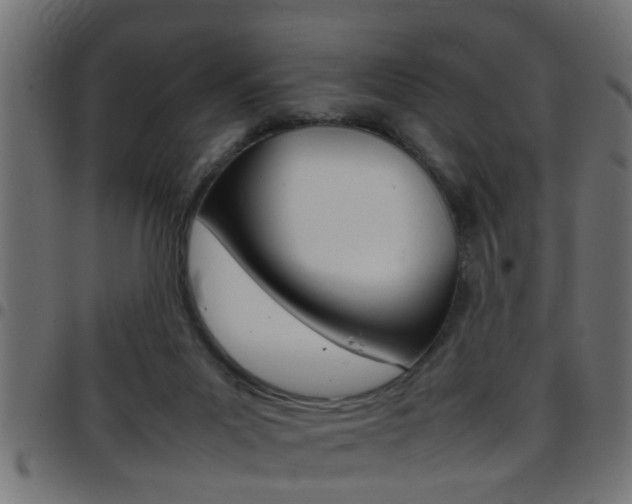 X0000097780023200803070923