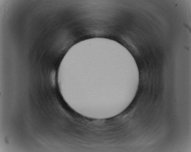 X0000097780024200803070923