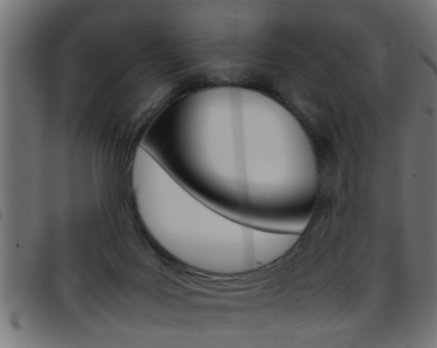 X0000097780027200803070923