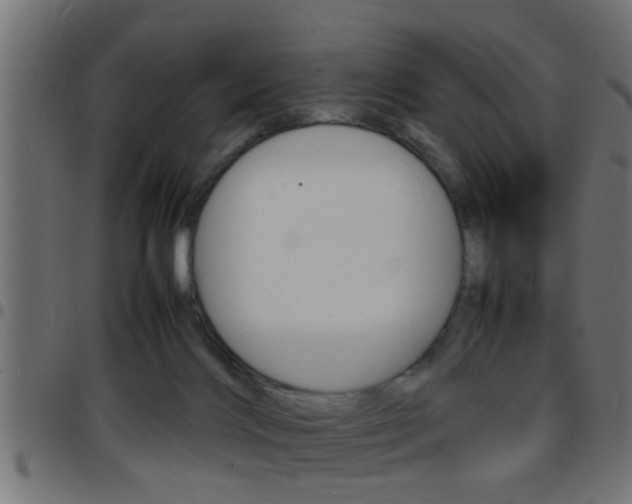 X0000097780028200803070923