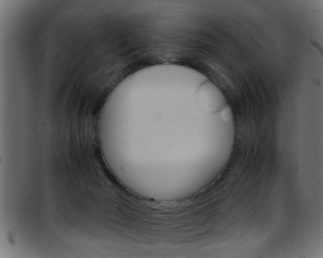X0000097780030200803070923