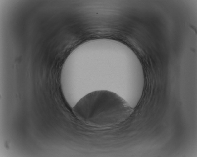 X0000097780031200803070923