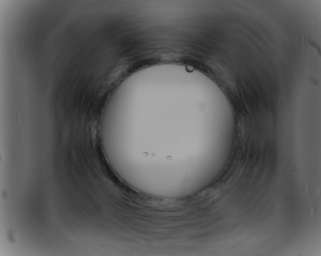 X0000097780032200803070923