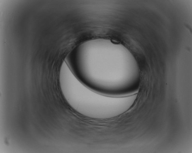 X0000097780033200803070923