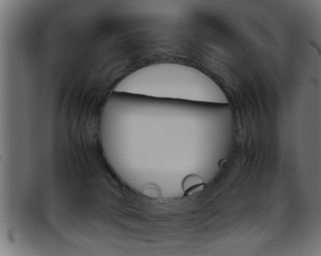X0000097780034200803070923