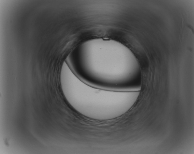X0000097780035200803070923