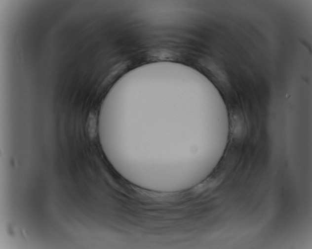X0000097780036200803070923