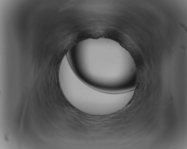 X0000097780037200803070923