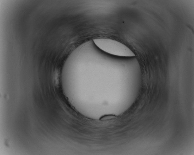 X0000097780038200803070923