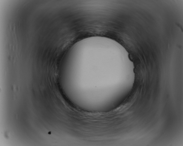 X0000097780040200803070923