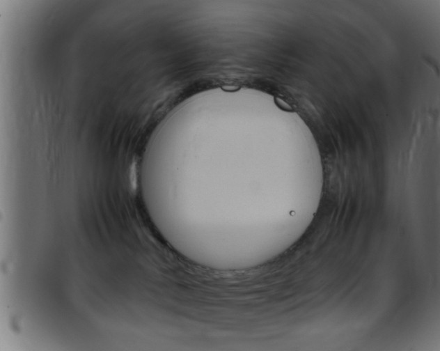 X0000097780042200803070923