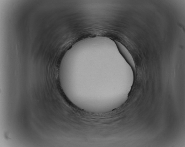 X0000097780043200803070923