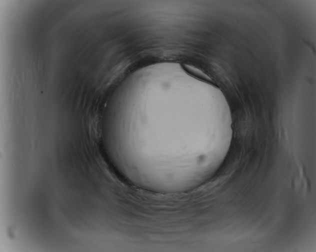 X0000097780044200803070923