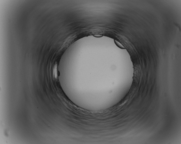 X0000097780046200803070923