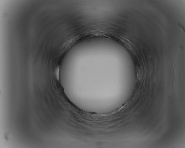 X0000097780047200803070923