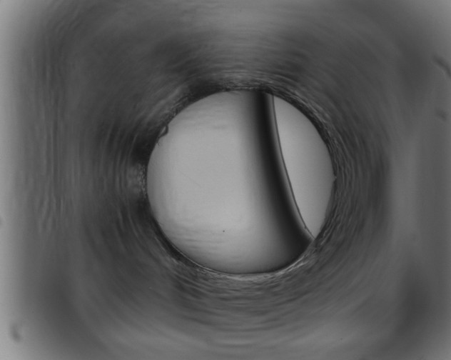 X0000097780048200803070923