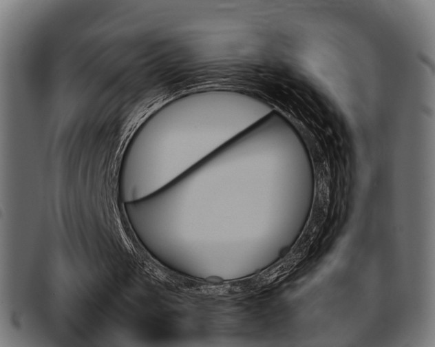 X0000097780049200803070922